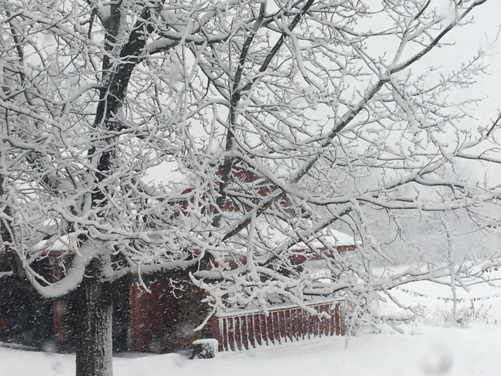 Red barn in snow